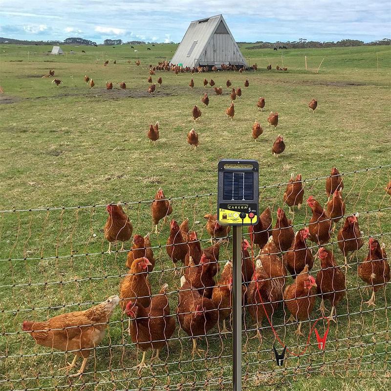2pcs gardens Solar Fence Charg - огляд і ціна Tippet Line